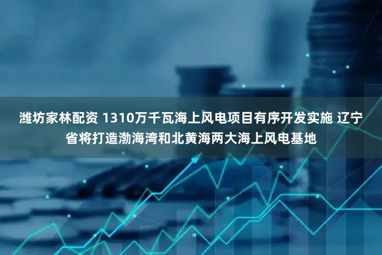 潍坊家林配资 1310万千瓦海上风电项目有序开发实施 辽宁省将打造渤海湾和北黄海两大海上风电基地
