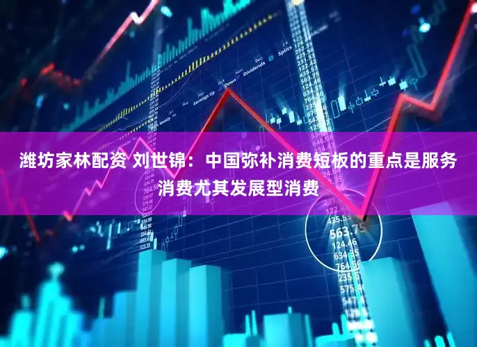 潍坊家林配资 刘世锦：中国弥补消费短板的重点是服务消费尤其发展型消费