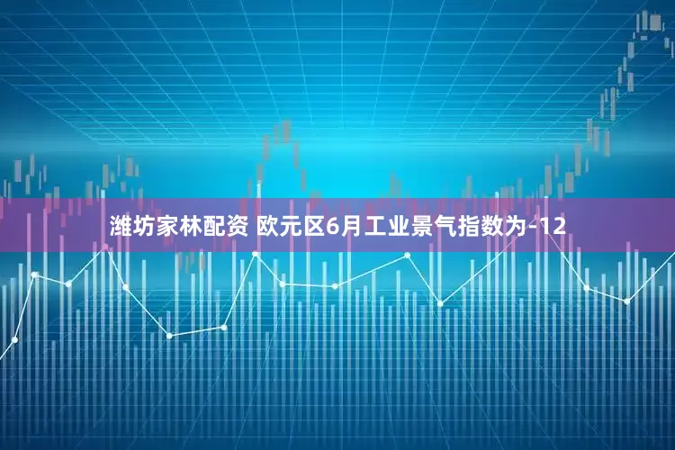 潍坊家林配资 欧元区6月工业景气指数为-12