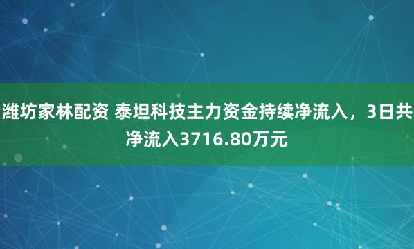 潍坊家林配资 泰坦科技主力资金持续净流入，3日共净流入3716.80万元