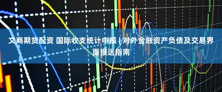 文商期货配资 国际收支统计申报 | 对外金融资产负债及交易界面报送指南